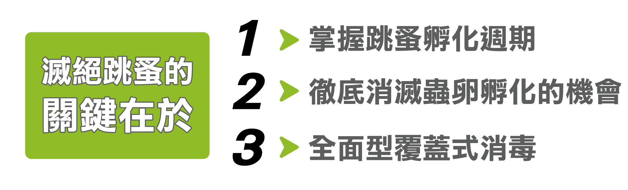 消滅跳蚤的關鍵3種除蟲方法 消滅跳蚤的關鍵3種除蟲方法