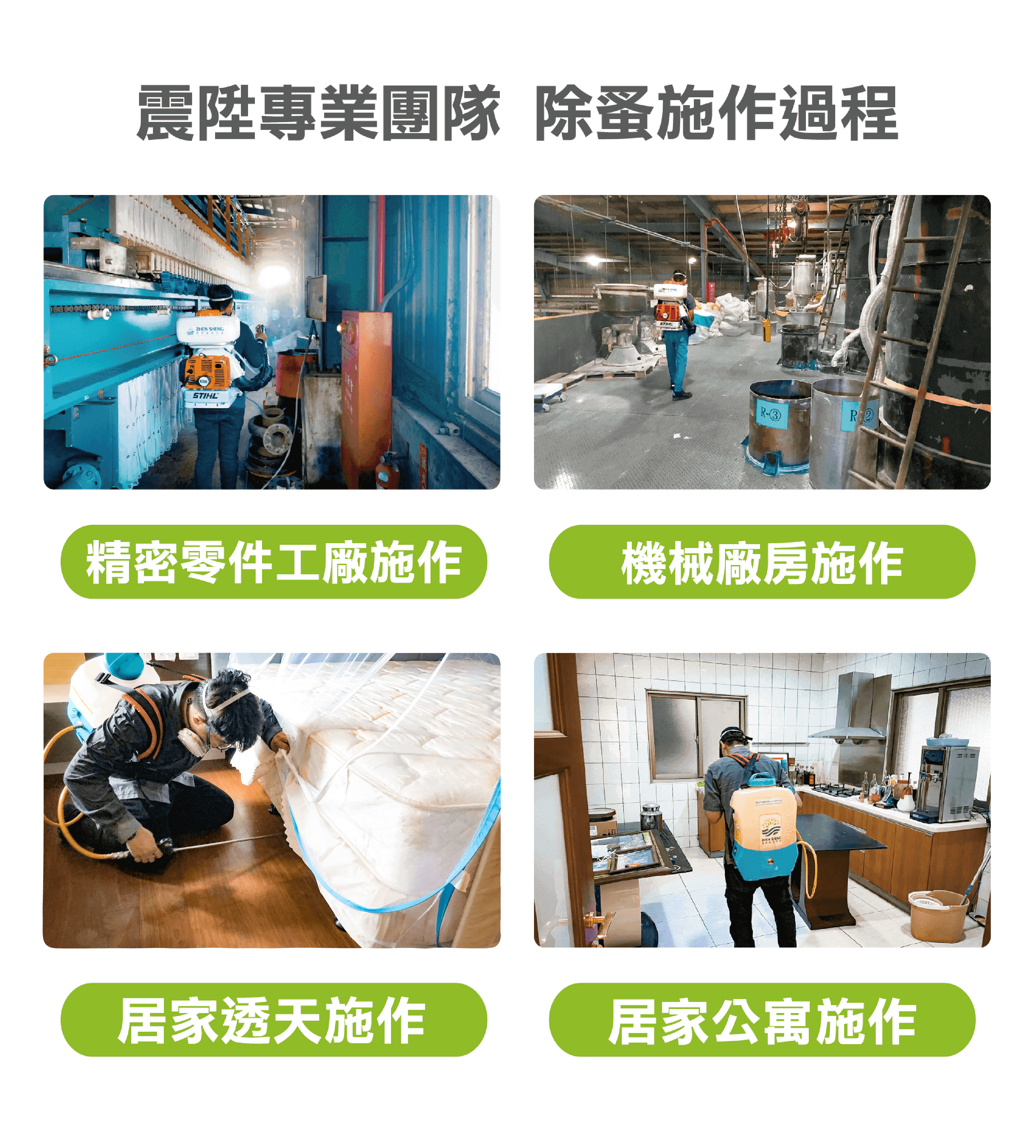 震陞專業團隊 除蚤施作過程，消滅跳蚤的方法 除跳蚤專家施作實例分享，家裡有跳蚤-手機