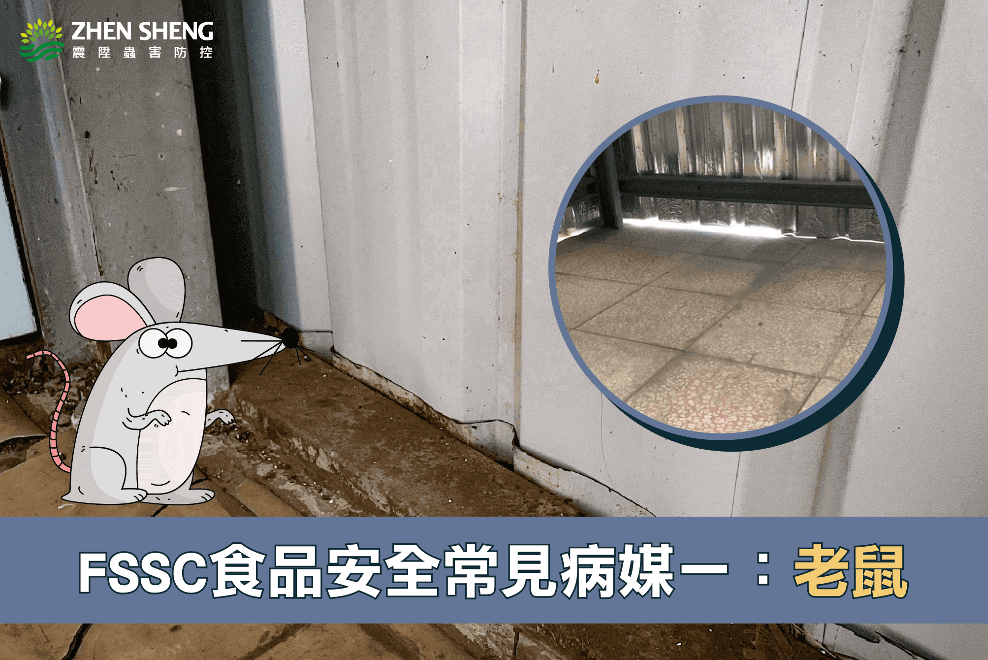 震陞蟲害防控-震陞除蟲專家公司─消毒知識推薦，FSSC食品安全常見病媒害蟲_老鼠