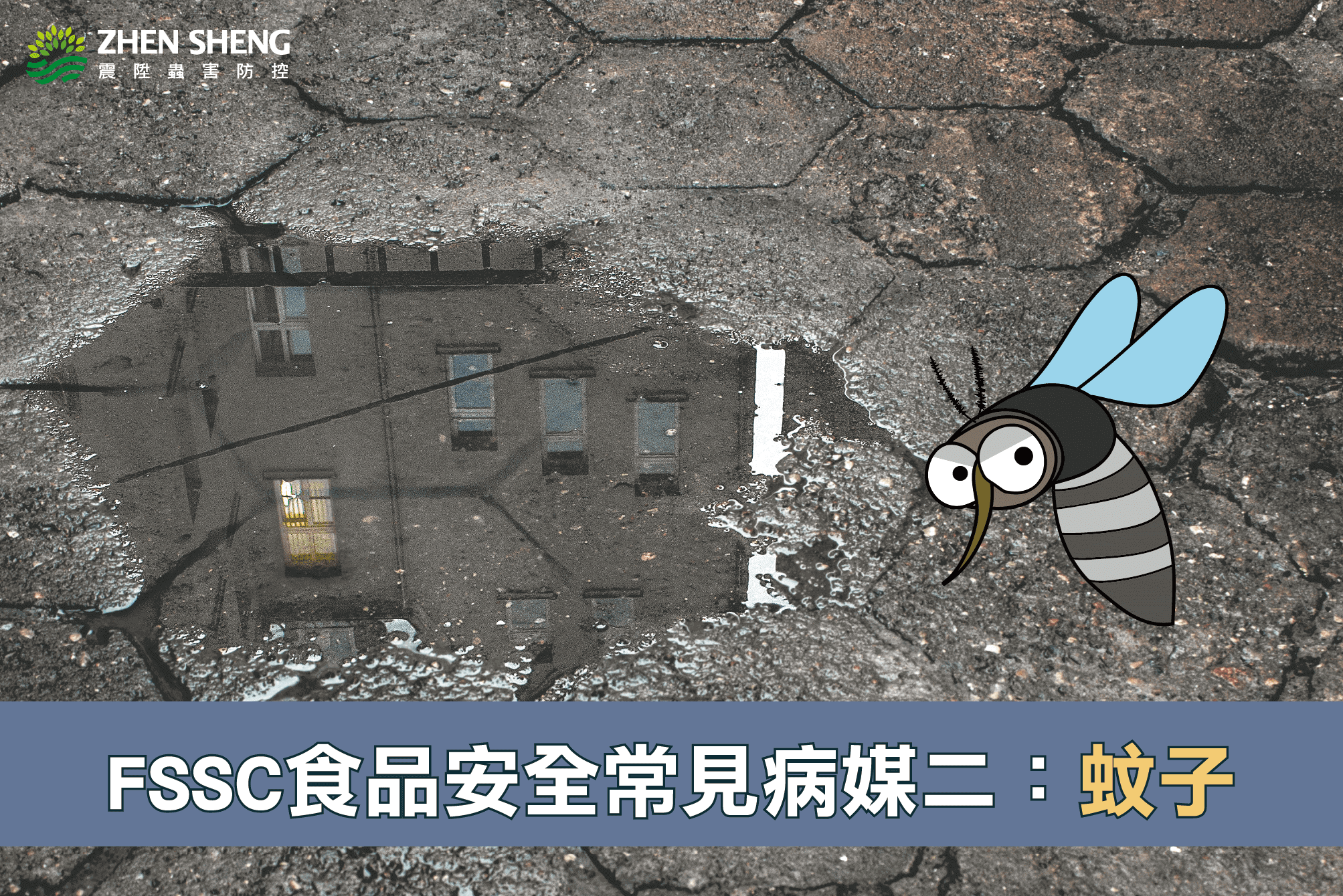 震陞蟲害防控-震陞除蟲專家公司─消毒知識推薦，FSSC食品安全常見病媒害蟲_蚊子