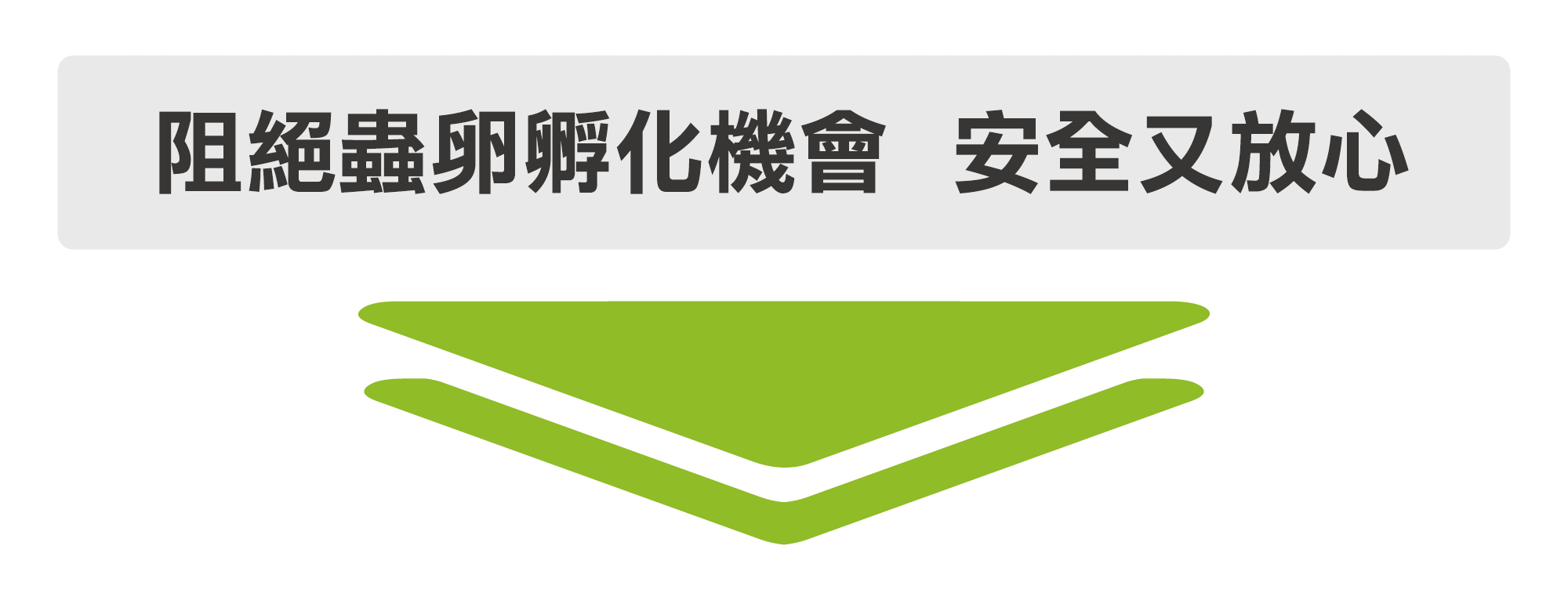 震陞除蟲專家，阻絕跳蚤蟲卵孵化機會 安全又放心-電腦