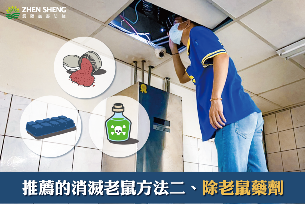 震陞滅鼠專家推薦的消滅老鼠方法二、除老鼠藥