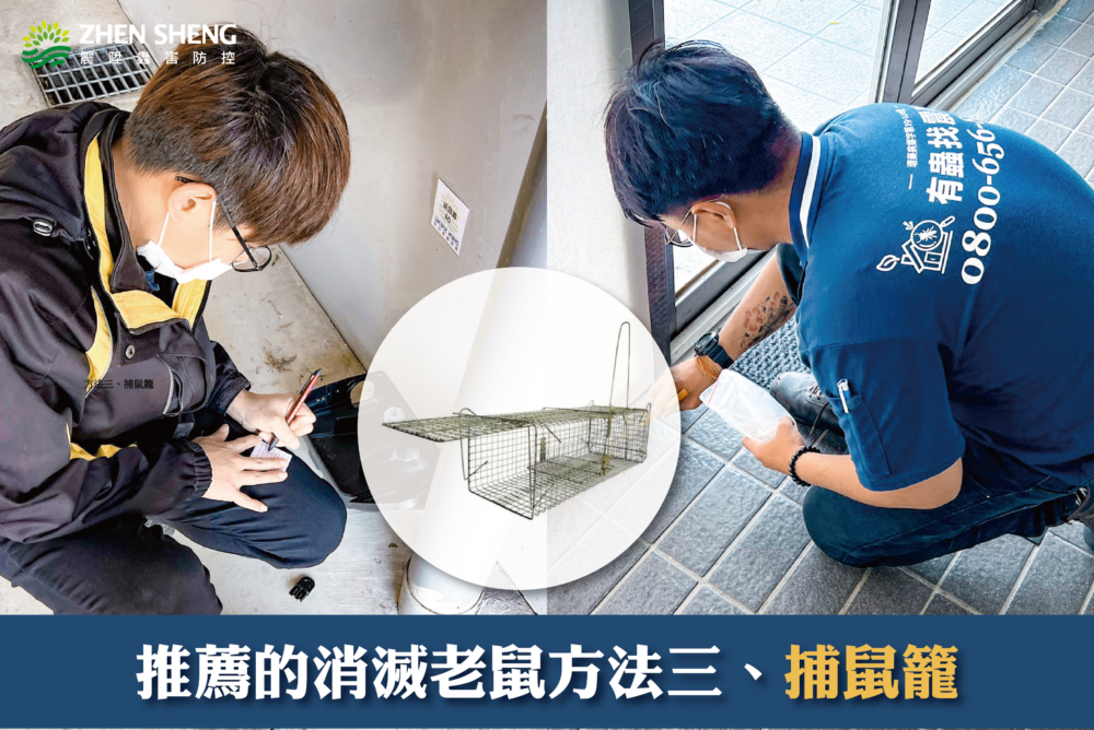 震陞滅鼠專家推薦的消震陞滅鼠專家推薦的消滅老鼠方法三、捕鼠籠滅老鼠方法三、捕鼠籠