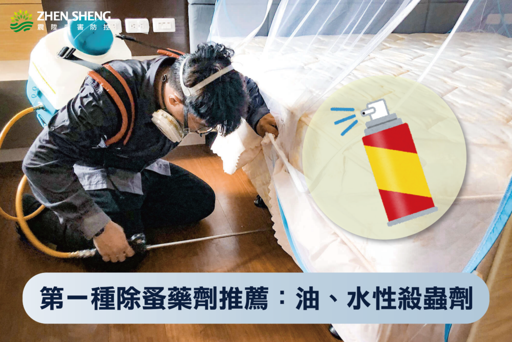 被跳蚤咬怎麼辦？震陞除蟲專家教你除跳蚤藥劑怎麼選！第一種除蚤藥劑推薦：油性、水性跳蚤殺蟲劑