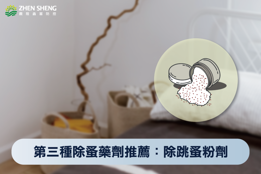 被跳蚤咬怎麼辦？震陞除蟲專家教你除跳蚤藥劑怎麼選！第三種除蚤藥劑推薦：除跳蚤粉劑