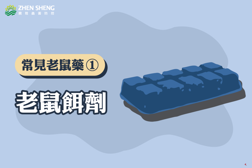 辦公室有老鼠怎麼辦？震陞滅鼠專家推薦消滅老鼠藥劑推薦一：「老鼠餌劑」