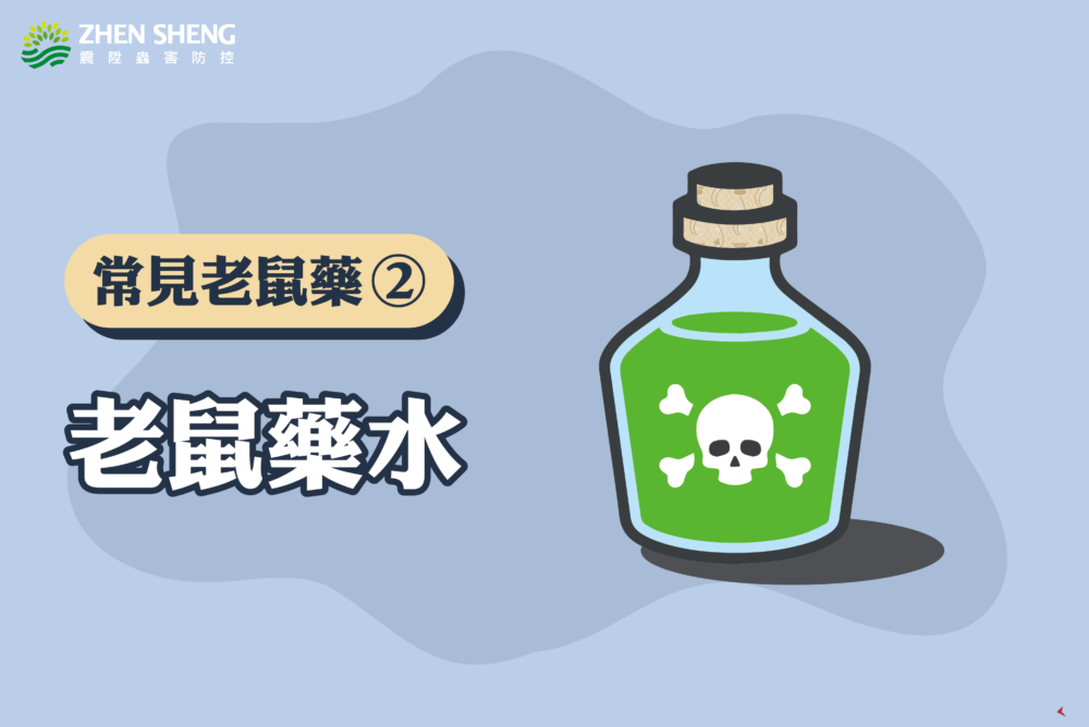 辦公室有老鼠怎麼辦？震陞滅鼠專家推薦消滅老鼠藥劑推薦二：「老鼠藥水」
