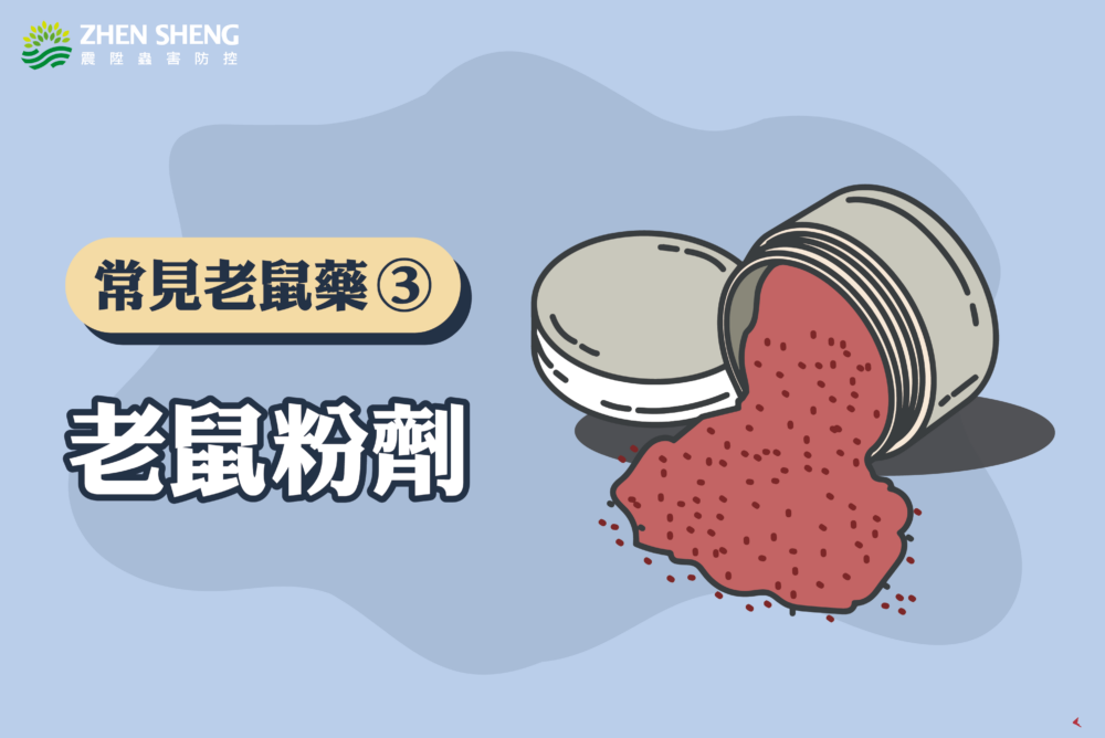 辦公室有老鼠怎麼辦？震陞滅鼠專家推薦消滅老鼠藥劑推薦三：「老鼠粉劑」