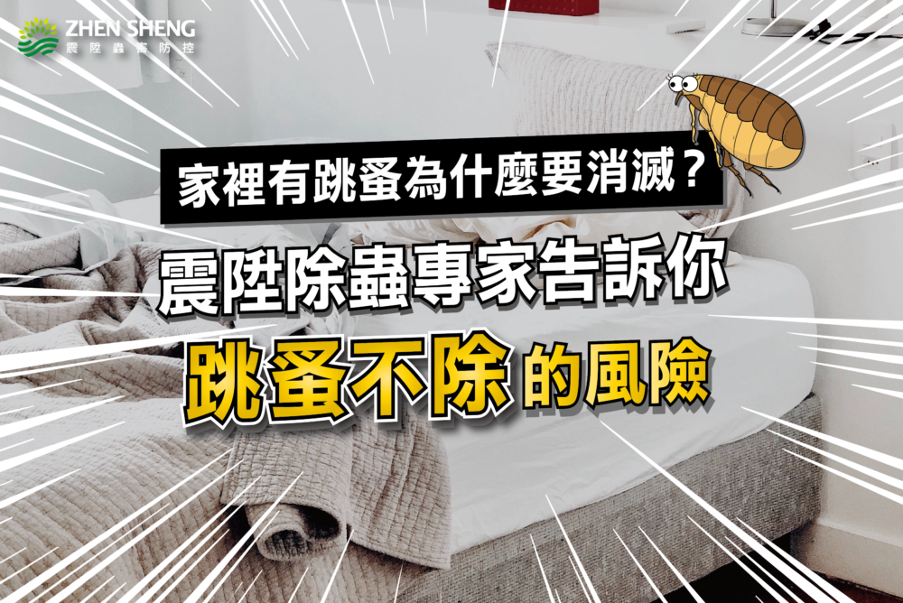 Read more about the article 家裡有跳蚤為何需要徹底消滅？震陞除蟲專家告訴你跳蚤不除的風險