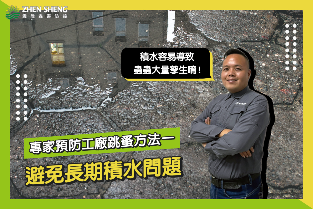震陞消毒公司預防工廠有跳蚤的除蟲方法一、避免長期積水問題