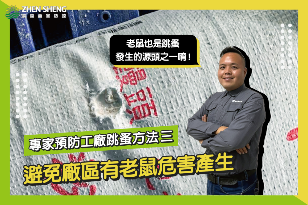 震陞消毒公司預防工廠有跳蚤的除蟲方法三、避免廠區老鼠、鼠害問題