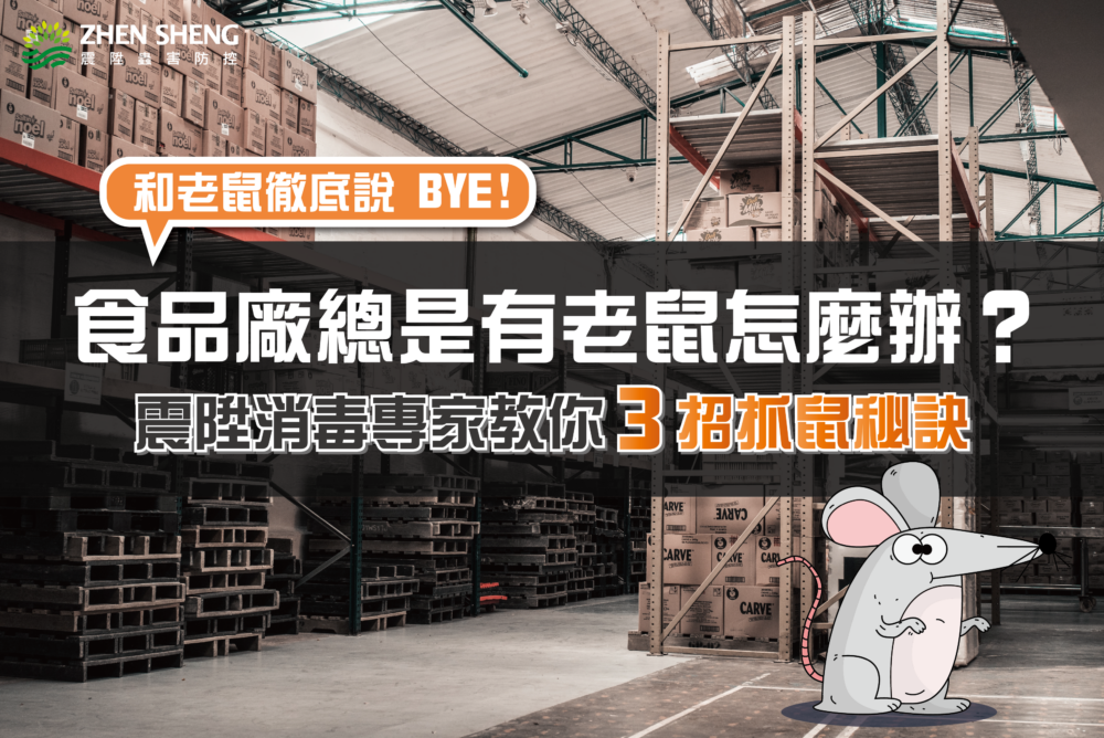 Read more about the article 食品工廠總是有老鼠怎麼辦？震陞消毒公司教你3招如何抓老鼠的秘訣