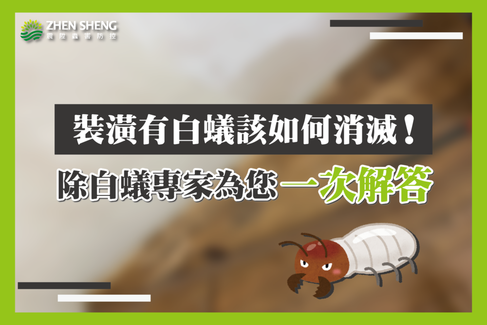 Read more about the article 居家木頭裝潢有白蟻怎麼辦？如何有效消滅白蟻？震陞除蟲專家為您一次解答！