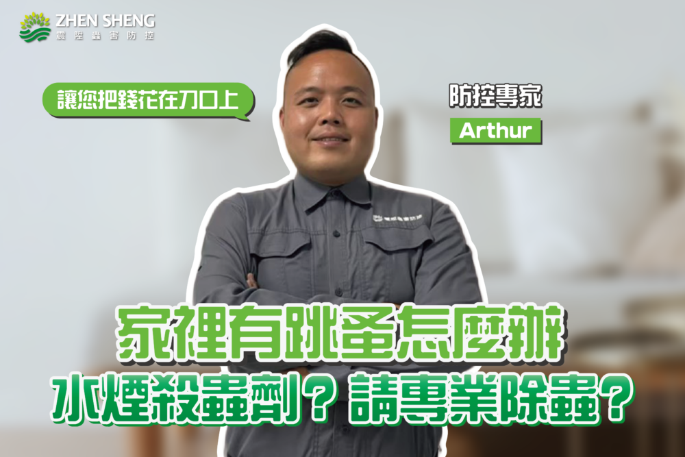 Read more about the article 家裡有跳蚤怎麼辦？用上這3種方法，震陞除蟲專家教你如何消滅跳蚤