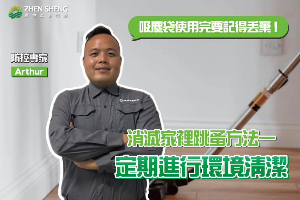 震陞除蟲專家推薦有效消滅家裡跳蚤方法一：
