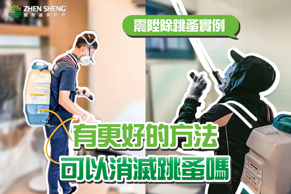 還有其他推薦的除跳蚤方法嗎？讓震陞除蟲專家來告訴你！