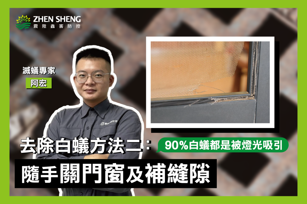 震陞專家去除家裡白蟻方法二、隨手關門窗、填補縫隙