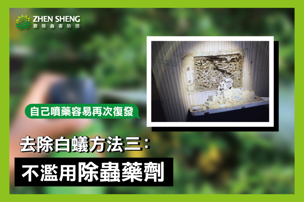 震陞專家去除家裡白蟻方法三、不亂使用市售推薦的除蟲藥劑/噴霧
