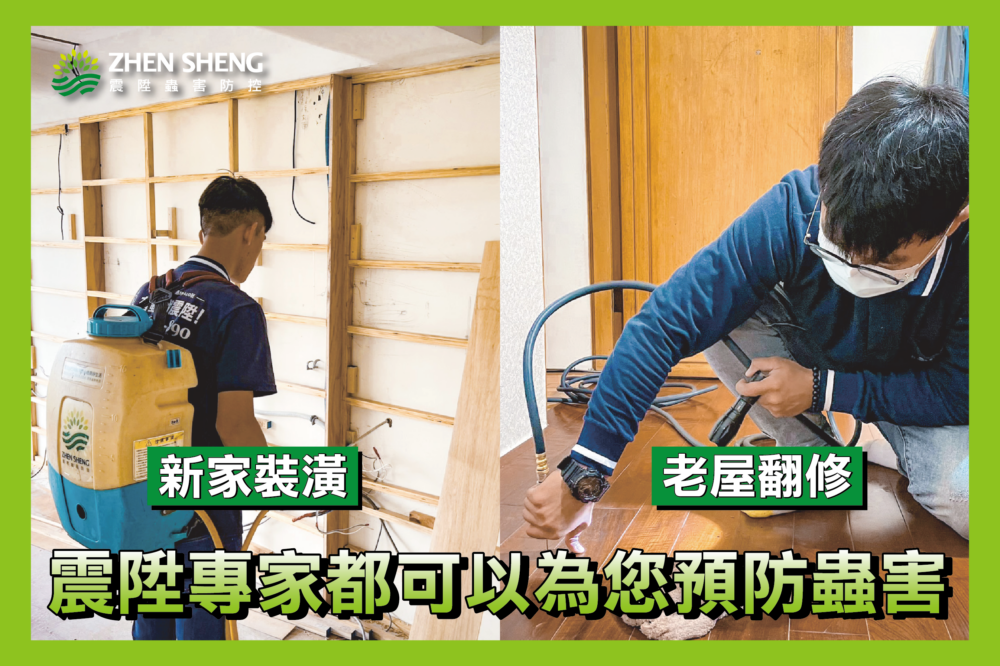 震陞除蟲專家長期與全台設計裝潢公司配合，幫助許多剛裝潢、老屋翻修、喜歡木頭傢俱擺設的客戶們避免了8-9成以上的白蟻、蛀蟲危害。