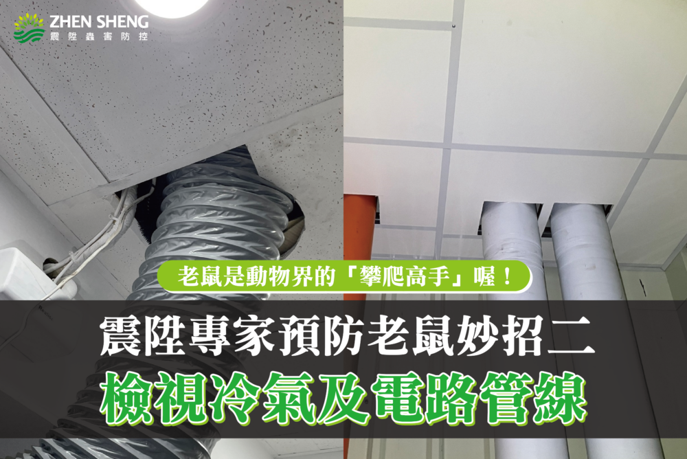 震陞專家新建工廠預防老鼠妙招二、檢視冷氣及電路管線