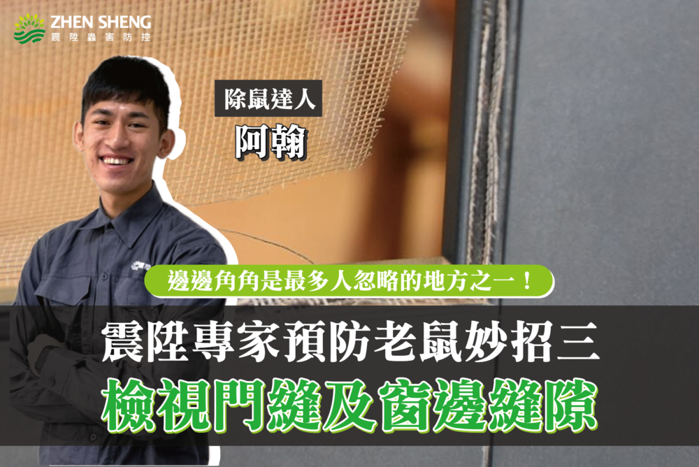 震陞專家新建工廠預防老鼠妙招三、檢視門縫及窗邊縫隙