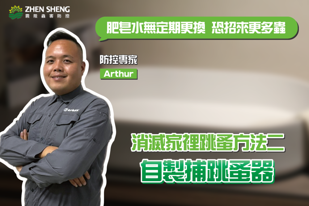 震陞除蟲專家推薦，有效消滅家裡跳蚤方法二
