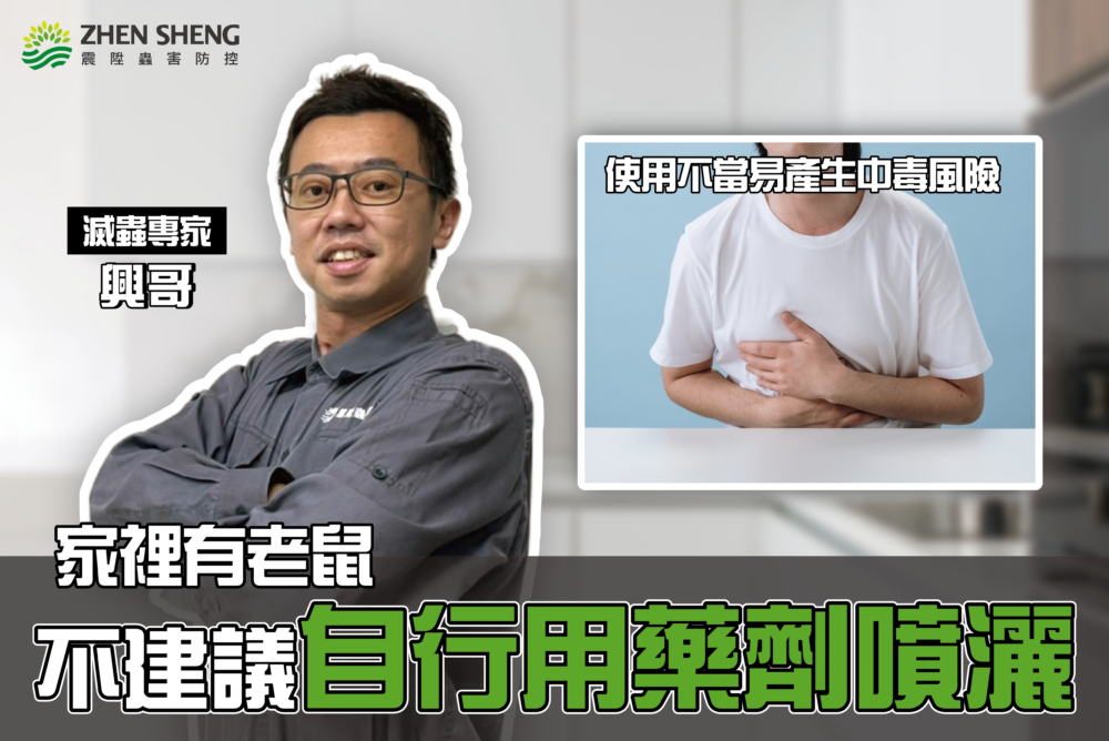 老鼠不怕藥跟陷阱？抓鼠公司推薦滅除方法二