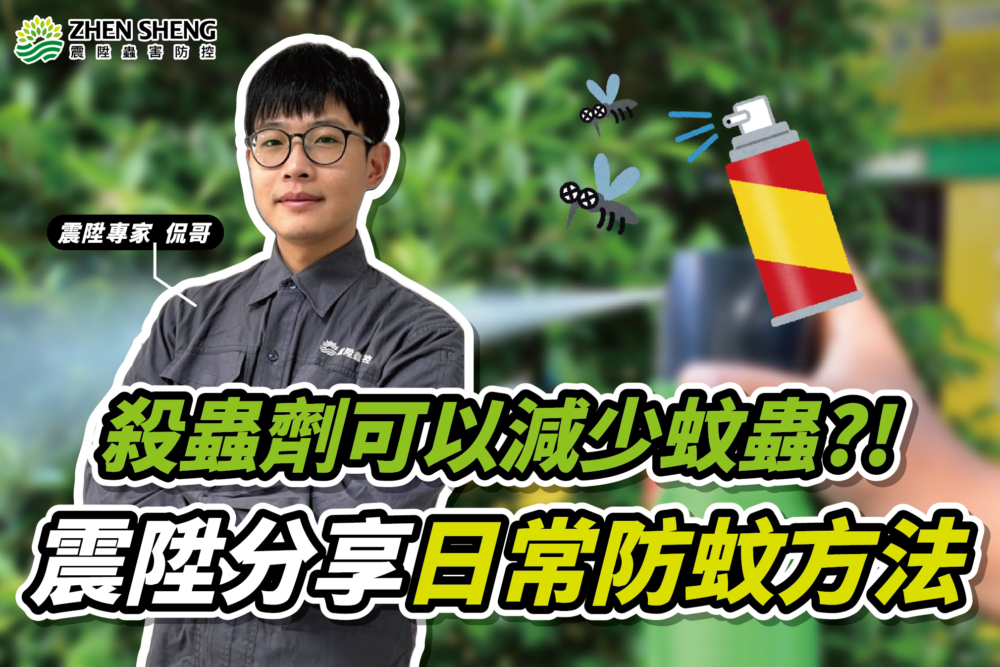 Read more about the article 病媒蚊是什麼？使用殺蟲劑就能減少孳生數量嗎？台中除蟲公司分享如何日常維護避免蚊子孳生的方法