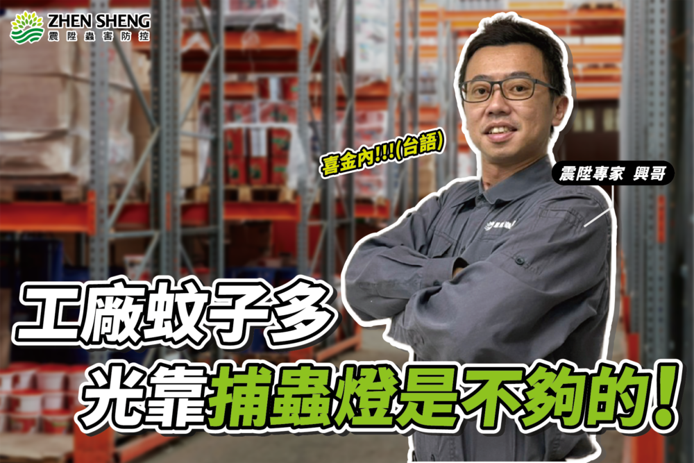 Read more about the article 震陞除蟲消毒公司–防蚊知識推薦，工廠病媒蚊子多，光靠捕蟲燈是不夠的！