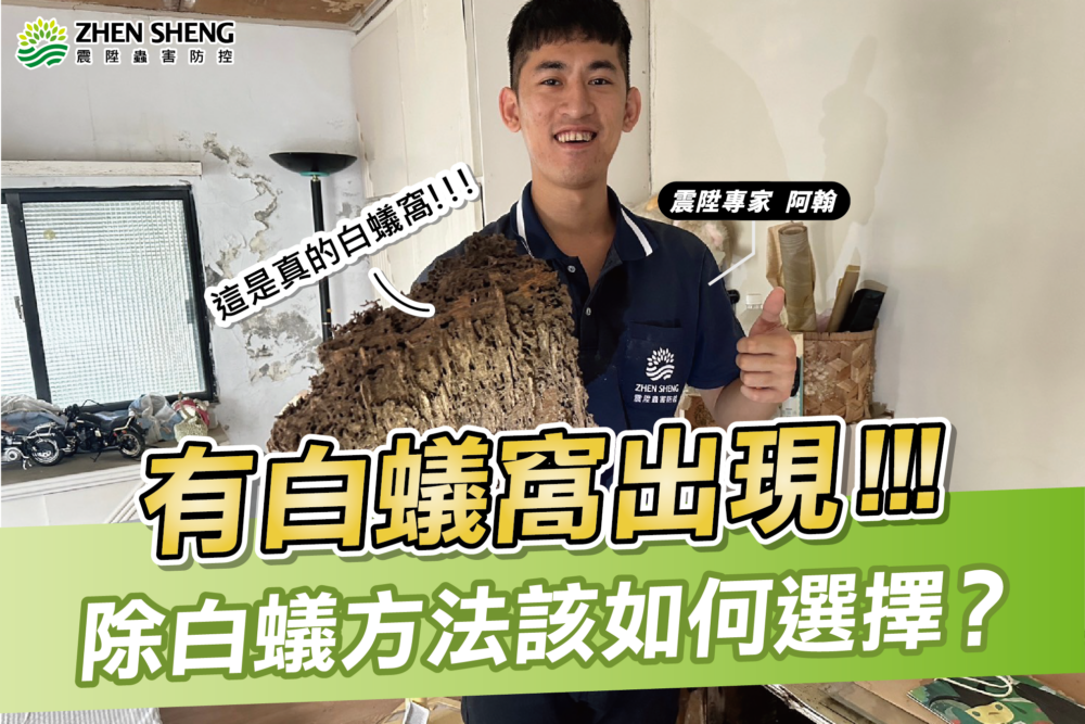 Read more about the article 家裡有白蟻窩出現代表什麼？除白蟻方法很多種該如何選擇？