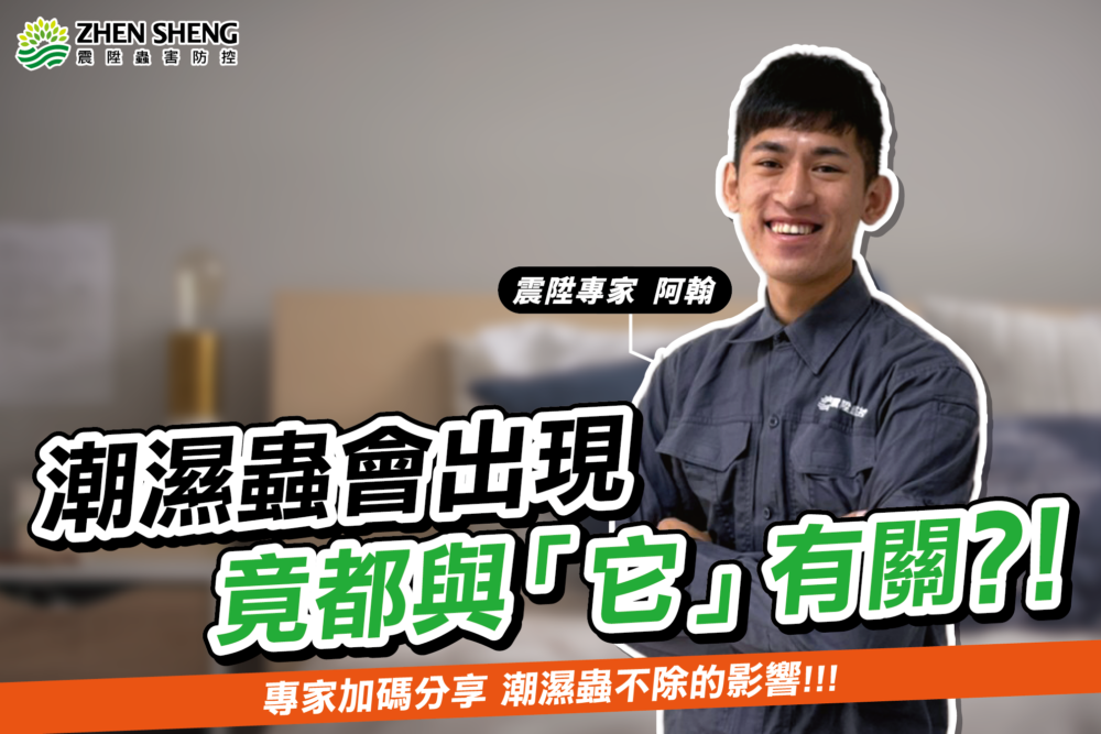 Read more about the article 潮濕蟲發生的原因都與「它」有關，震陞除蟲專家告訴你潮濕蟲不除會有什麼影響