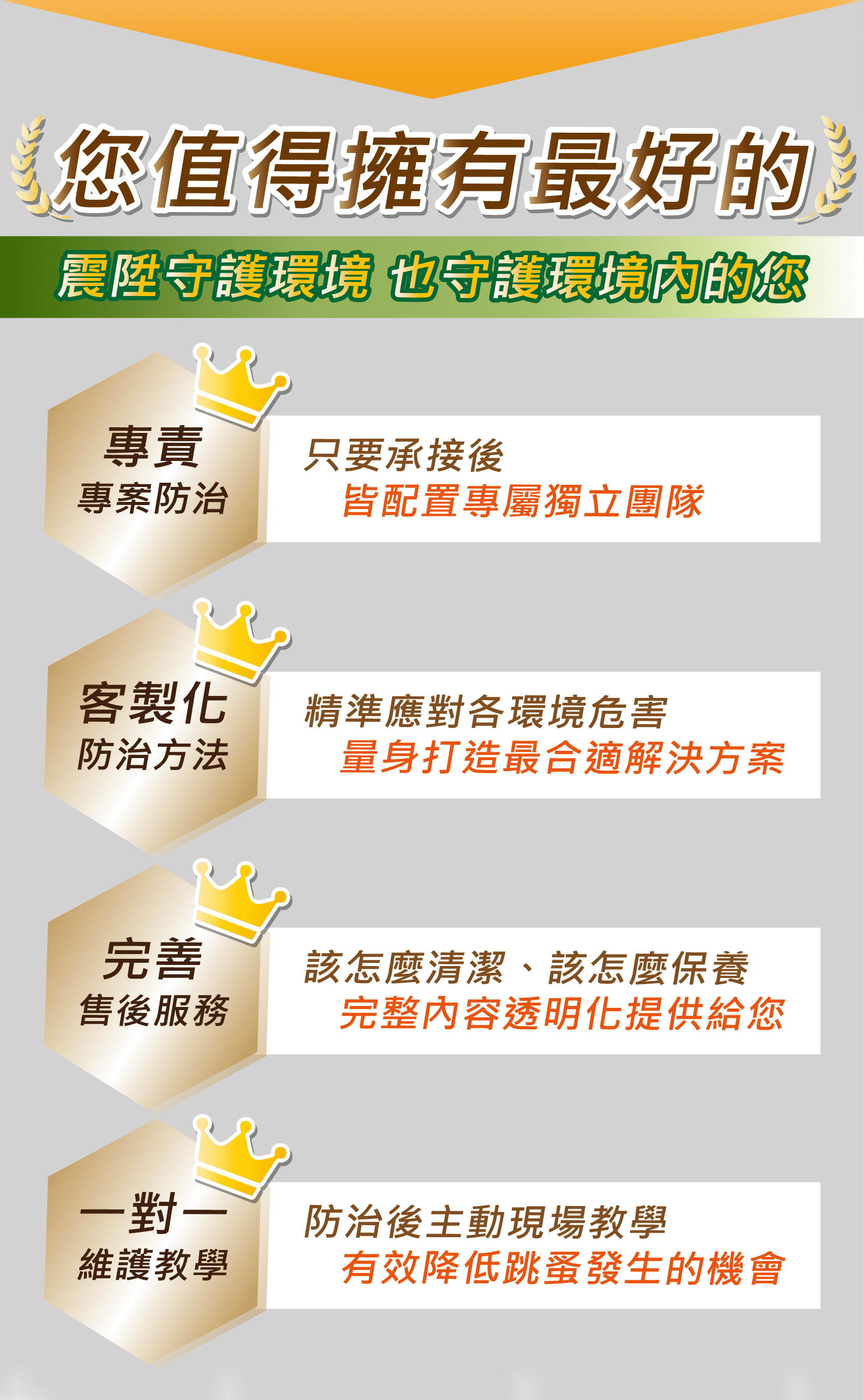 震陞蟲害防控-跳蚤防治_消毒除蟲公司_跳蚤怎麼除