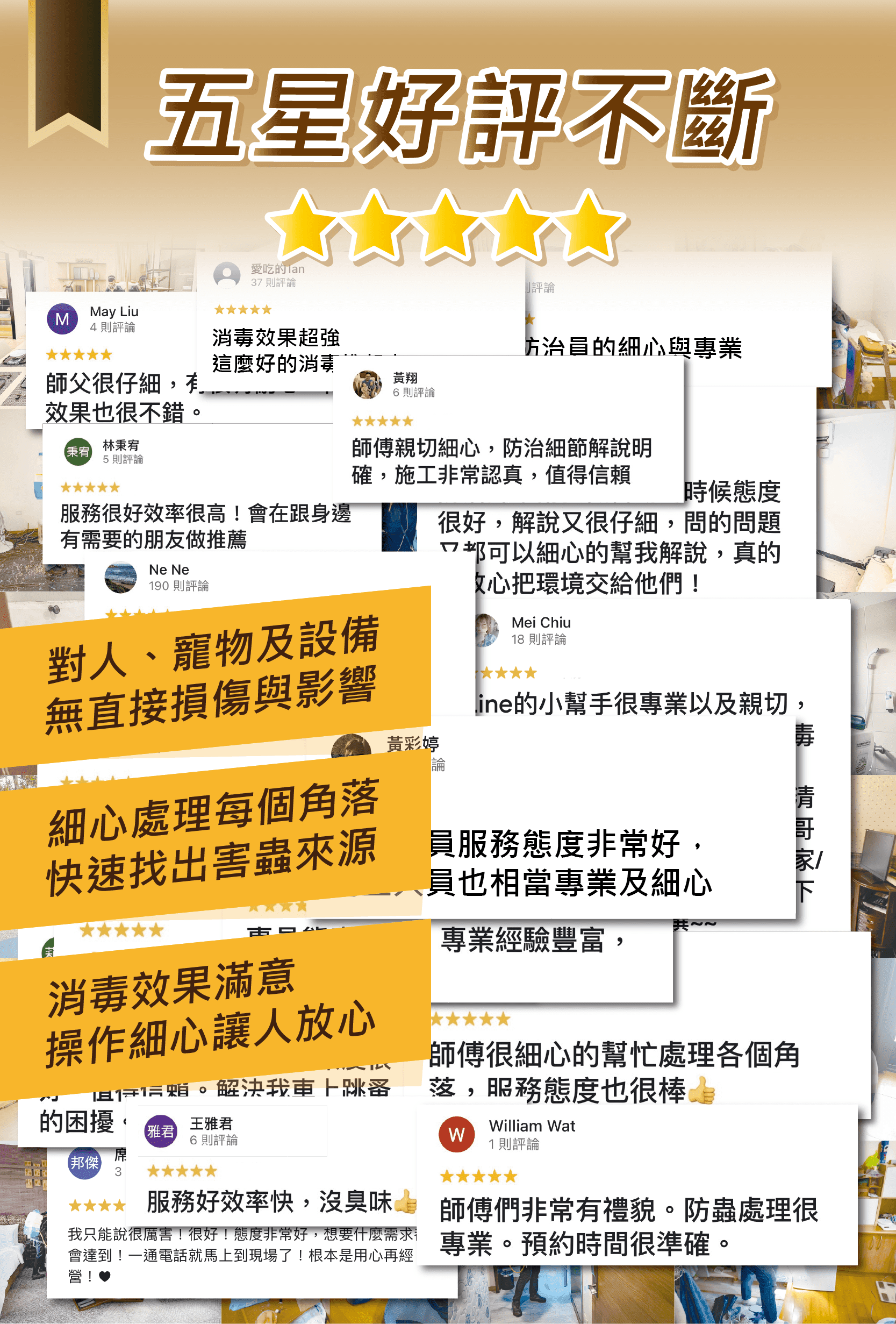 震陞蟲害防控-跳蚤防治_消毒除蟲公司_跳蚤怎麼除_價格費用