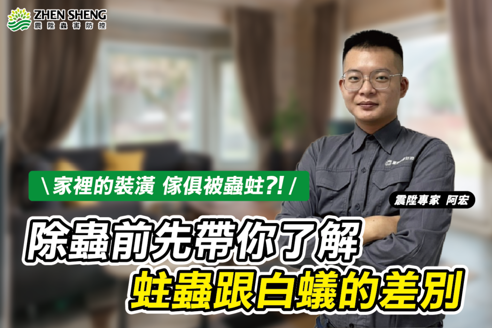Read more about the article 木頭被蟲蛀蝕？震陞專家教你如何辨別蛀蟲及白蟻