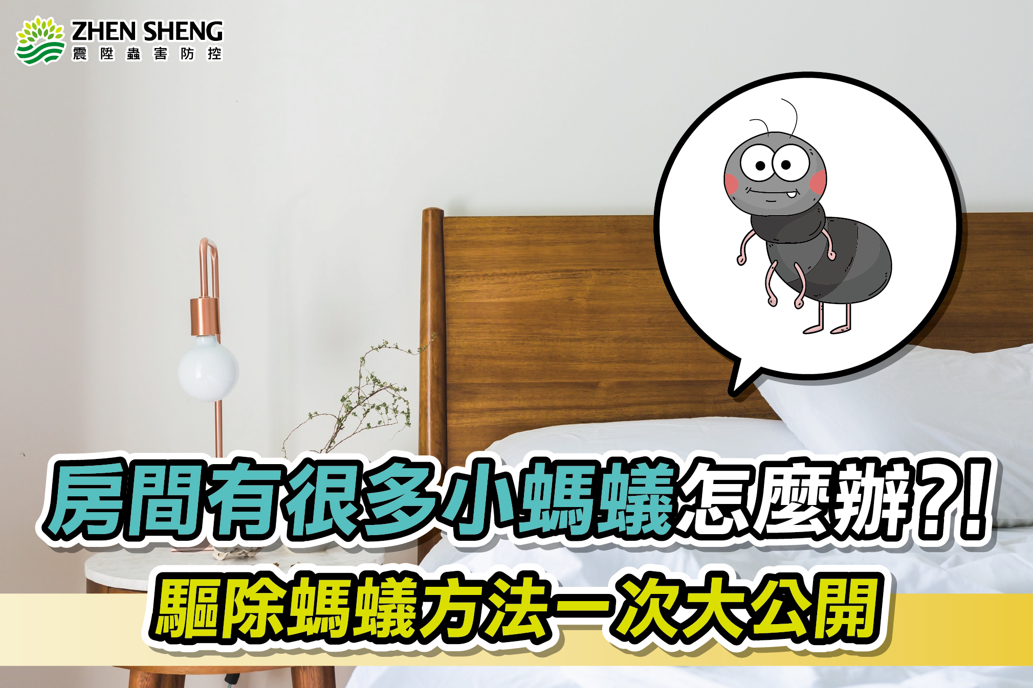 Read more about the article 房間突然出現很多小螞蟻怎麼辦？如何驅除消滅家中螞蟻？防治方法一次大公開！