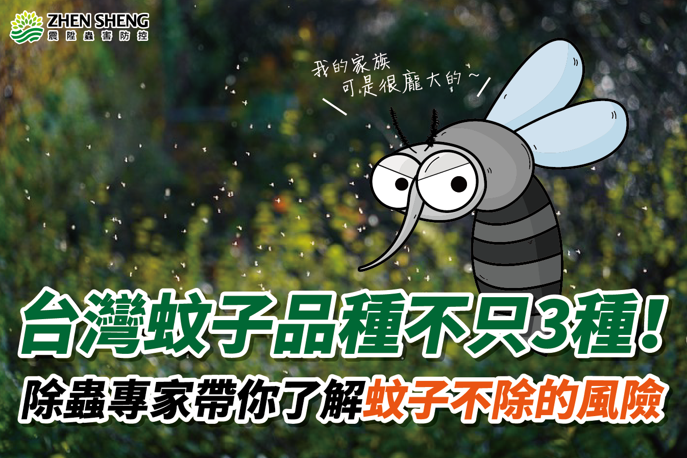 Read more about the article 震陞除蟲公司推薦—台灣常見蚊子品種竟然不只3種！除蟲專家帶你了解蚊子不除會產生的風險