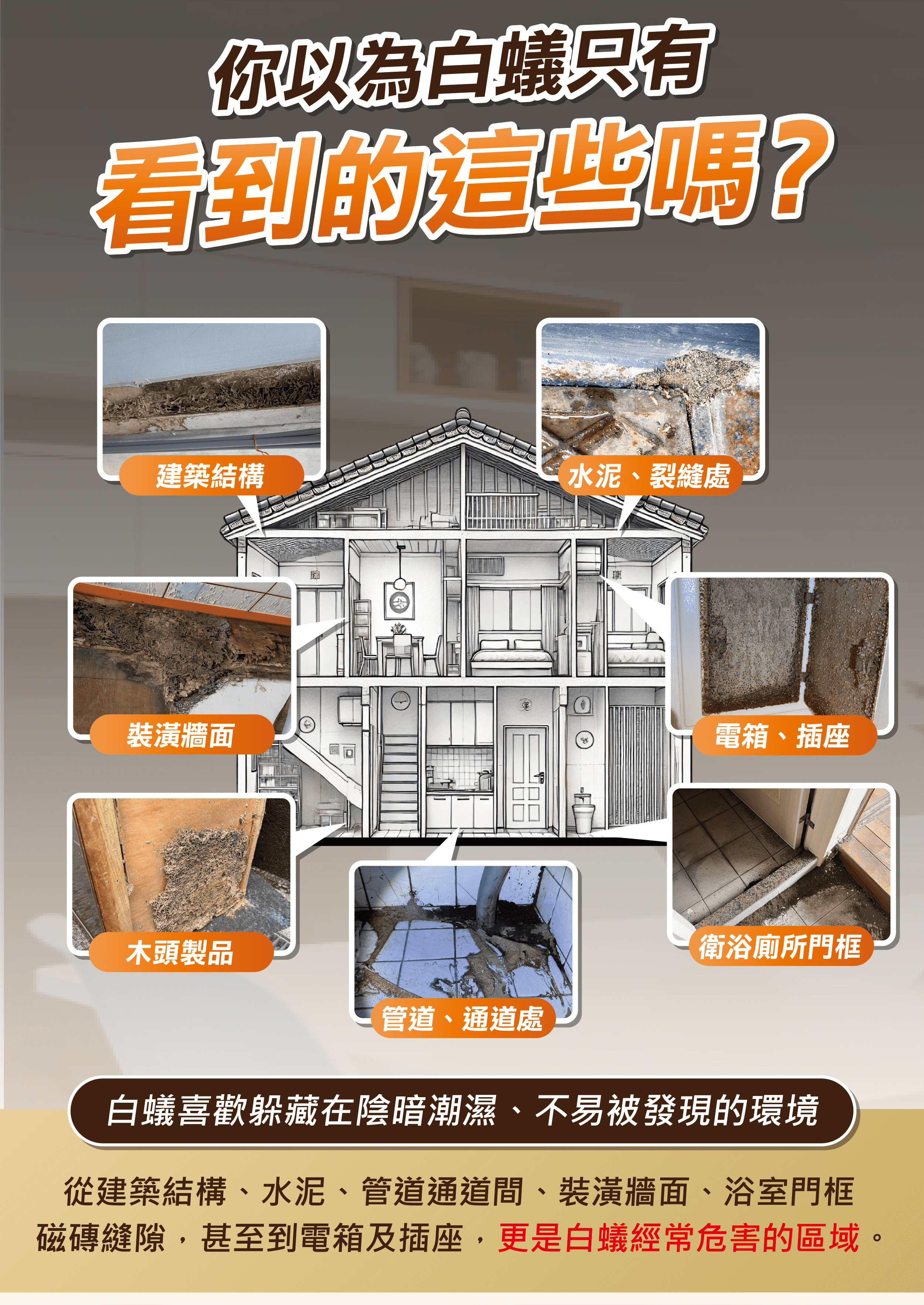 震陞除蟲公司除白蟻推薦-你以為白蟻只有你看到的這樣嗎