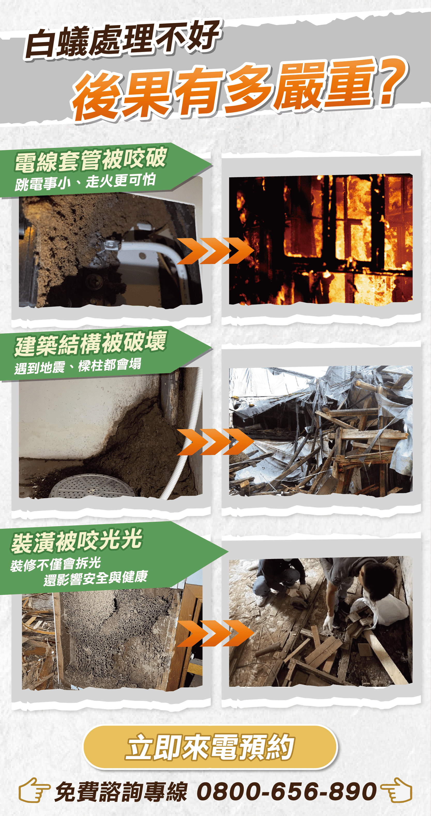 震陞除蟲公司除白蟻推薦-白蟻處理不好的影響