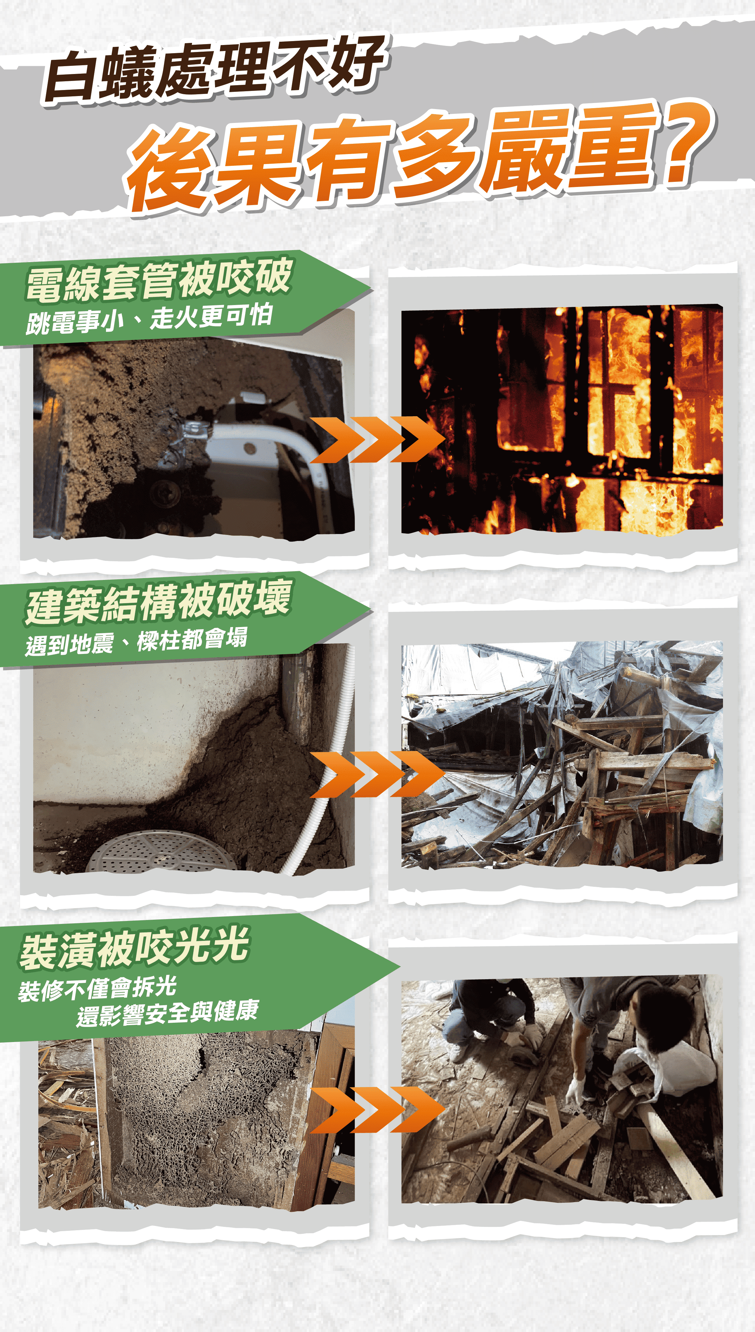 震陞除蟲公司除白蟻推薦-白蟻處理不好的影響