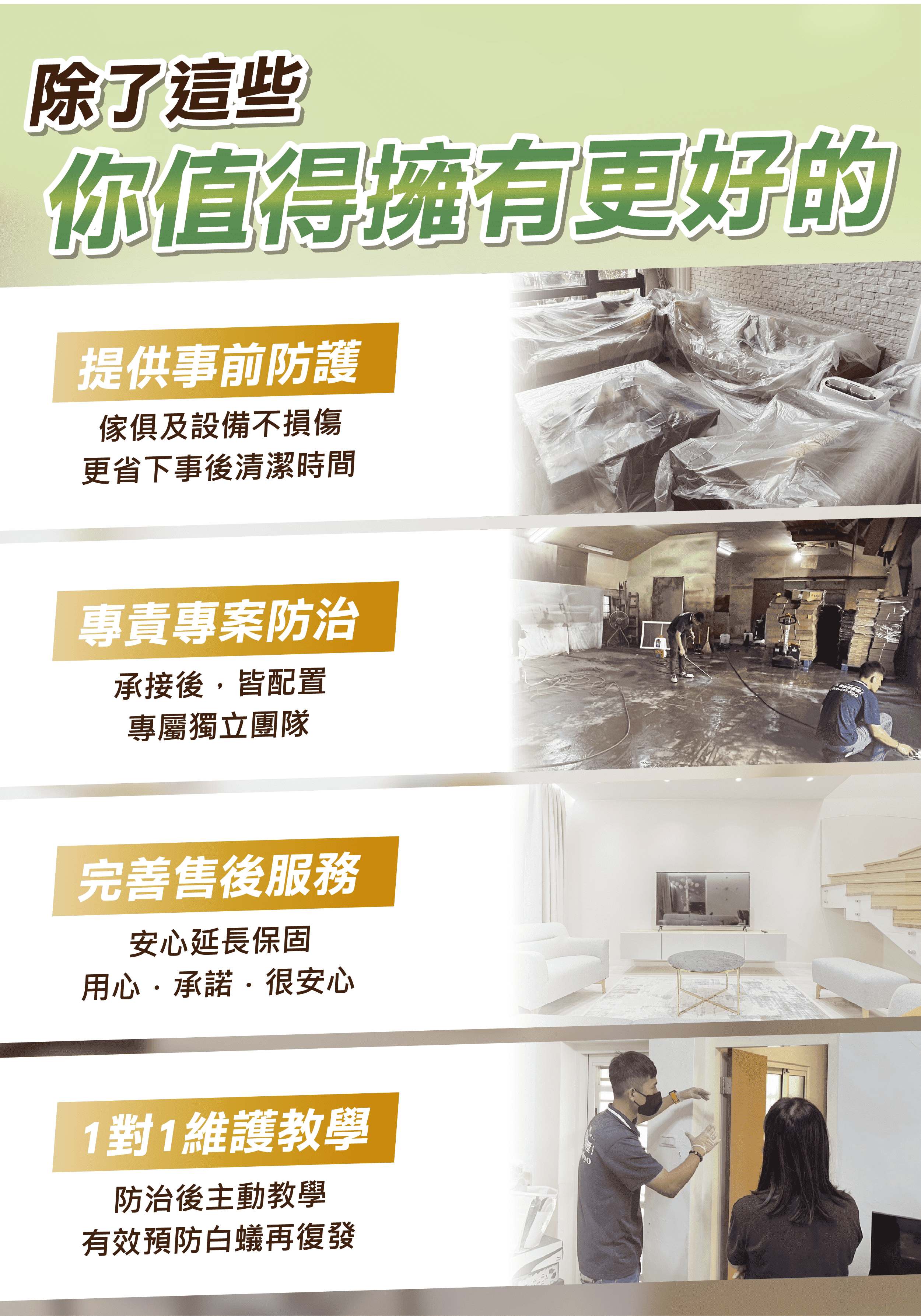震陞除蟲公司除白蟻推薦-除白蟻安心保障
