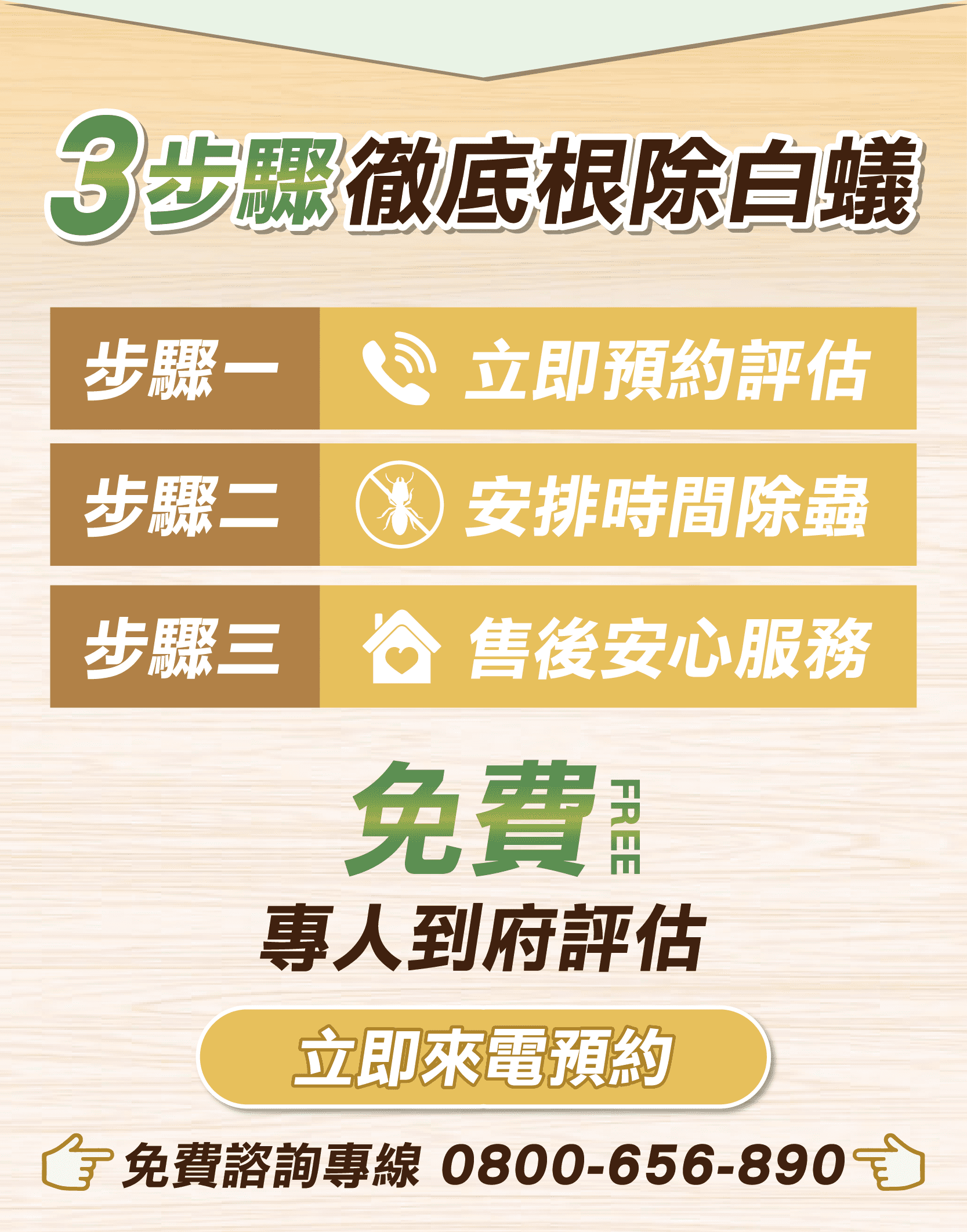 震陞除蟲公司除白蟻推薦-除白蟻除蟲消毒流程