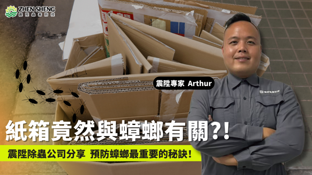 Read more about the article 紙箱堆太多，小心成了蟑螂的家！震陞除蟲專家教你簡單防治蟑螂