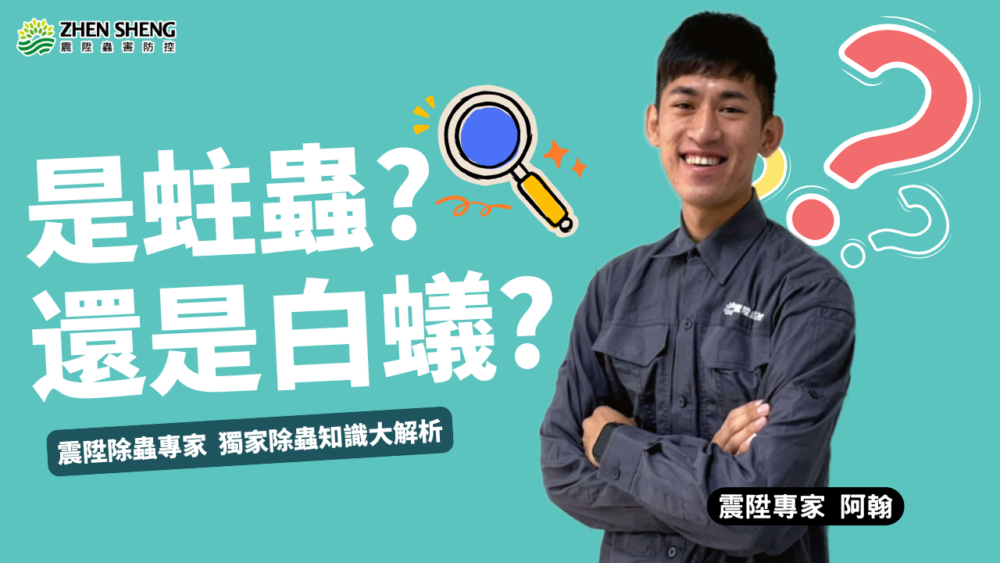Read more about the article 蛀蟲防治要對症下藥！震陞病蟲害公司3分鐘快速教你如何分辨木頭裡的蟲蟲是白蟻還是蛀蟲？