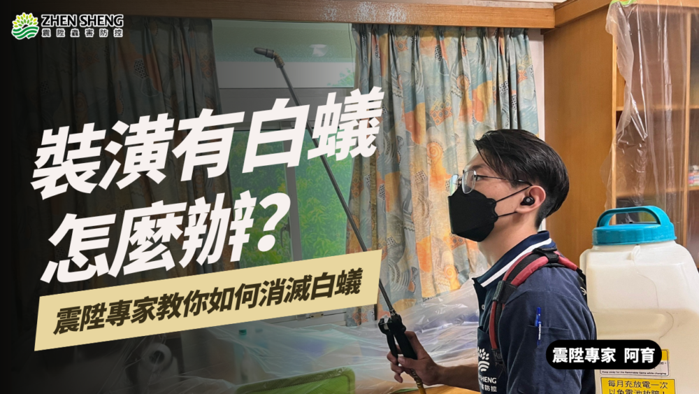 Read more about the article 木頭裝潢有白蟻怎麼辦？如何有效消滅白蟻？震陞除蟲專家為您一次解答！