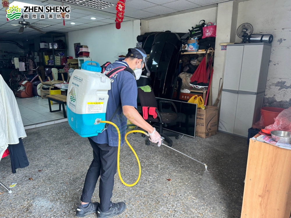 Read more about the article 跳蚤防治全攻略：震陞除蟲公司教您如何在居家與商業環境中有效防治跳蚤