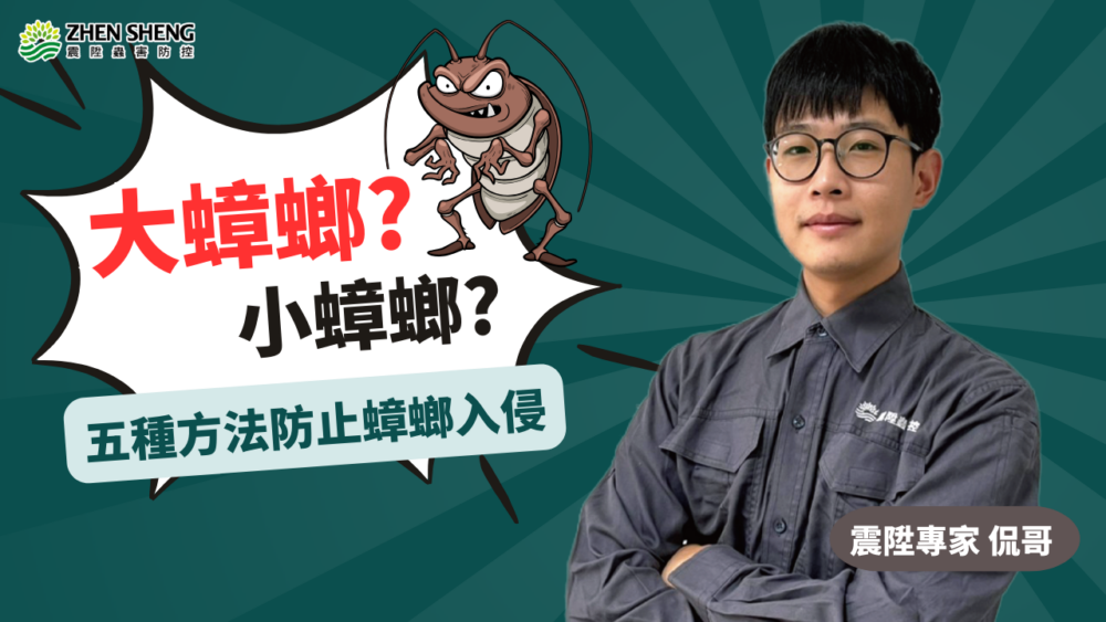 Read more about the article 【震陞專業除蟑螂公司】家裡有大隻及小隻蟑螂出現的原因？用上這5種方法防止蟑螂入侵