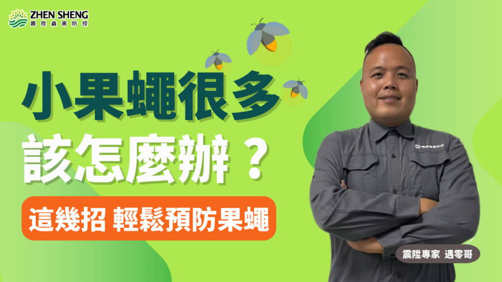 Read more about the article 【震陞消毒公司】小果蠅很多怎麼辦？學會這幾招輕鬆預防果蠅入侵！