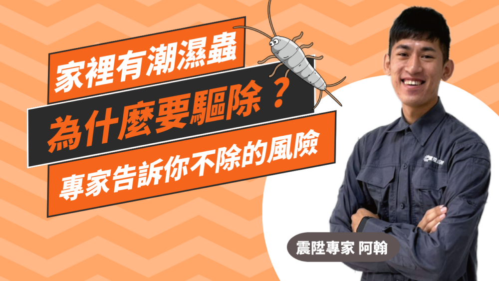 Read more about the article 家裡有潮濕蟲為何需要驅除防治？震陞除蟲專家告訴你潮濕蟲不除的風險