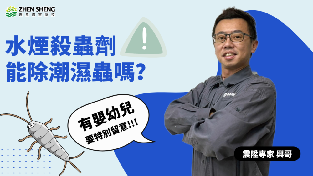 Read more about the article 水煙式殺蟲劑能除潮濕蟲嗎？家中有嬰幼兒一定要特別留意！