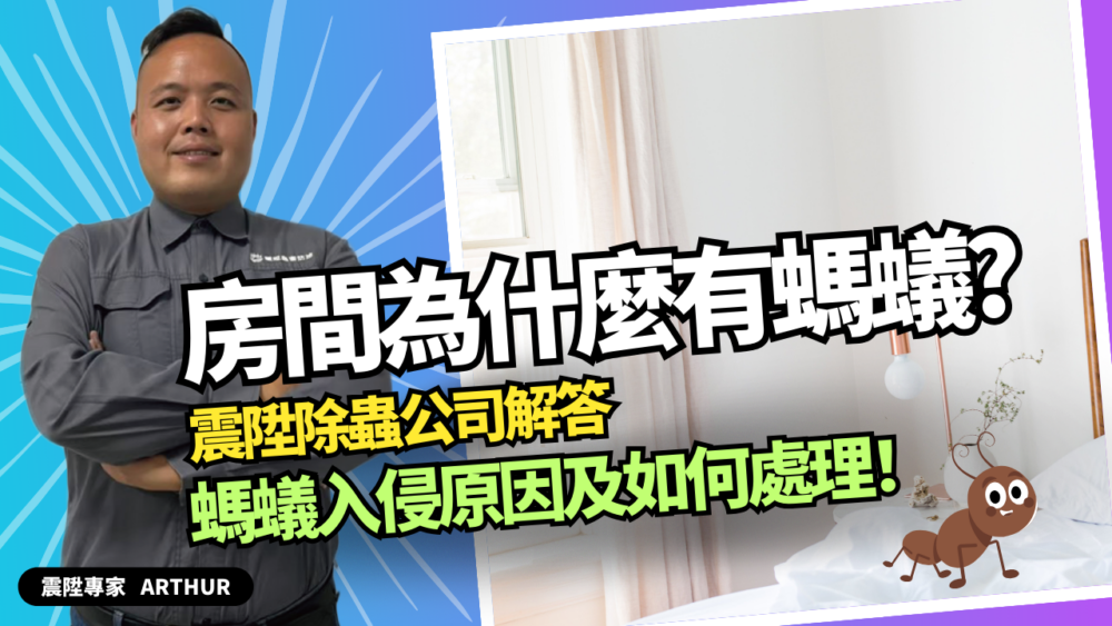 Read more about the article 房間為什麼會有螞蟻？震陞除蟲公司解答螞蟻入侵的原因以及如何處理！